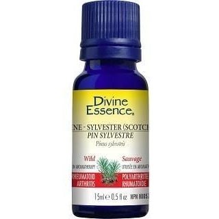 Divine essence - sylvestre pine wild - 15 ml Fashion