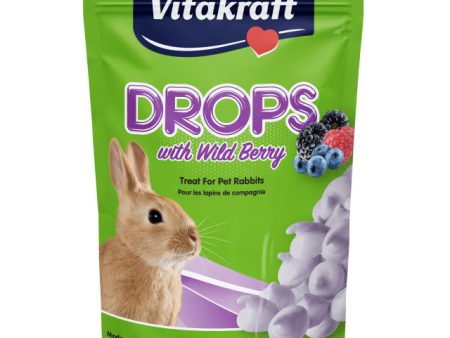 Rabbit Treat Drops - VitaKraft Wild Berry   Yogurt Online Hot Sale