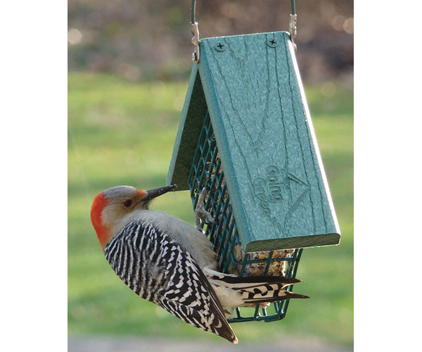 Going Green Suet Cage Bird Feeder For Cheap