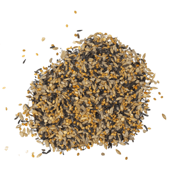 The Mill Outdoor Finch Blend Bird Seed Online Hot Sale