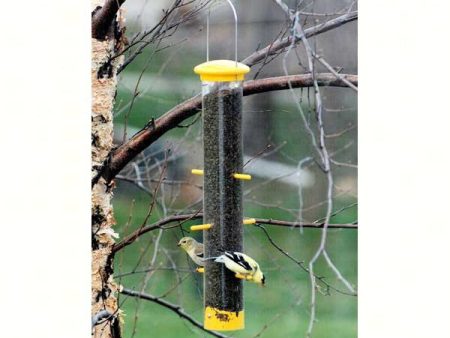 Tails Up Finch Bird Feeder on Sale