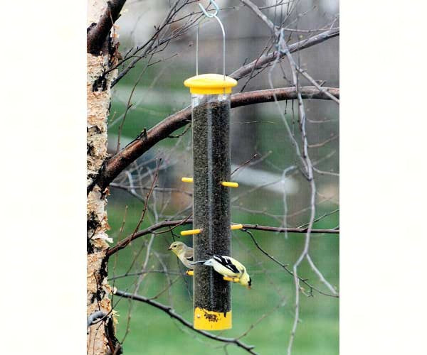 Tails Up Finch Bird Feeder on Sale