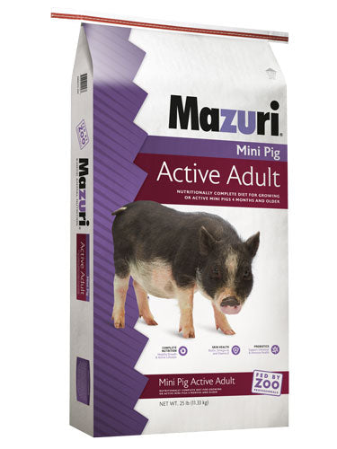 Mini Pig Active Adult For Discount