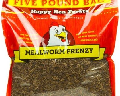 Mealworm Frenzy Chicken Treat on Sale