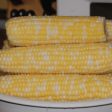 Butter & Sugar Bicolor Sweet Corn Vegetable Seed on Sale