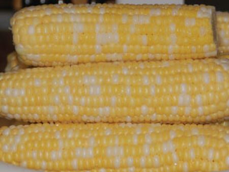 Butter & Sugar Bicolor Sweet Corn Vegetable Seed on Sale