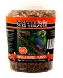 Mealworm To Go Dried Mealworms on Sale