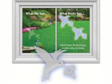 Hummingbird Window Decal - 4 pack Supply