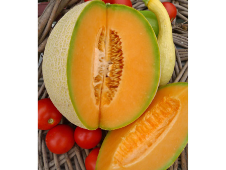 Athena Cantaloupe Vegetable Seed Online Hot Sale