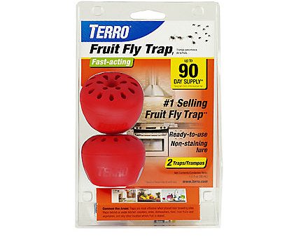 Fruit Fly Trap Online