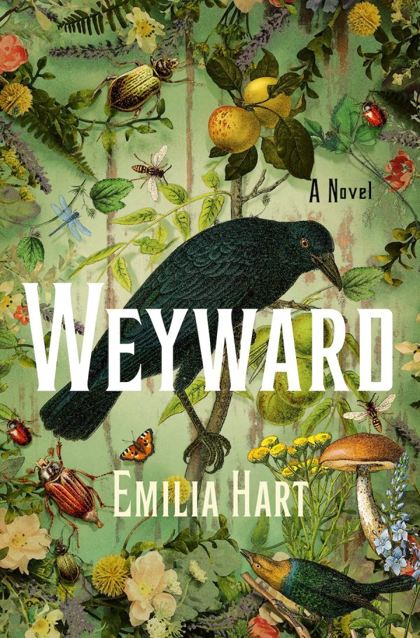 Weyward  Emilia Hart Sale